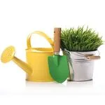 Сад і город